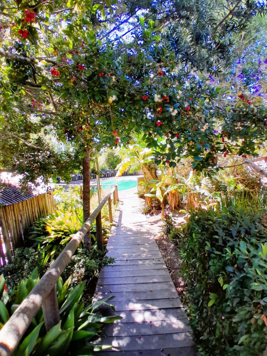 36 Bedroom Property for Sale in Harkerville A H Western Cape